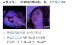 马蓉爆料最新,揭秘娱乐圈惊人内幕