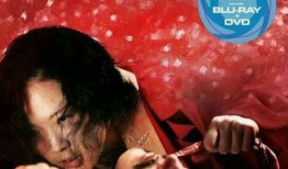 感官新世界在线观看,一场视觉与听觉的极致盛宴