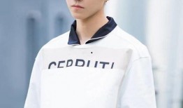 王源爆料娱乐圈乱象视频,揭秘幕后真相