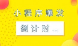 最新爆料专刊小程序,专刊小程序深度解析